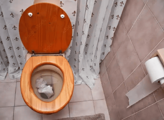 Open toilet with wooden seat and tissue inside.