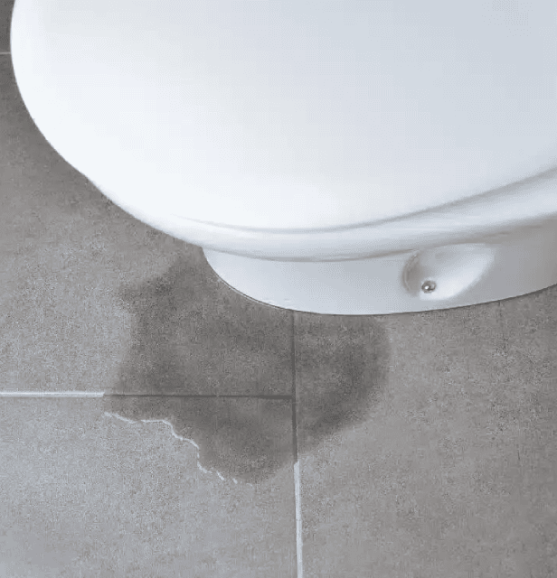 Water leakage is visible on the tiled bathroom floor around the base of a white toilet, indicating a possible plumbing issue.