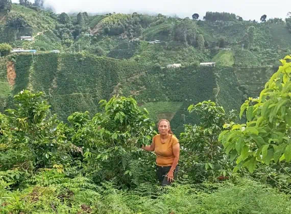 Finca Recinas - Imagen 2