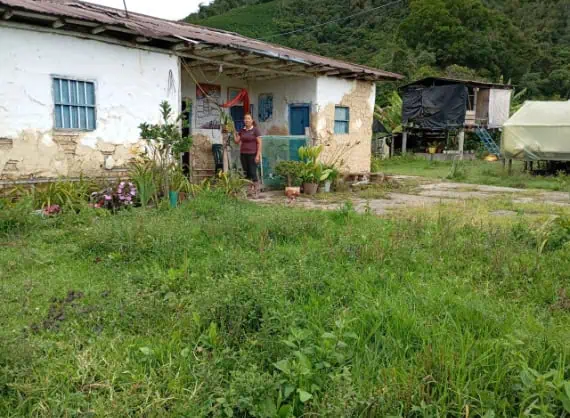 Finca Recinas - Imagen 3