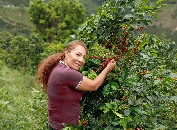 Finca Recinas - Imagen 4