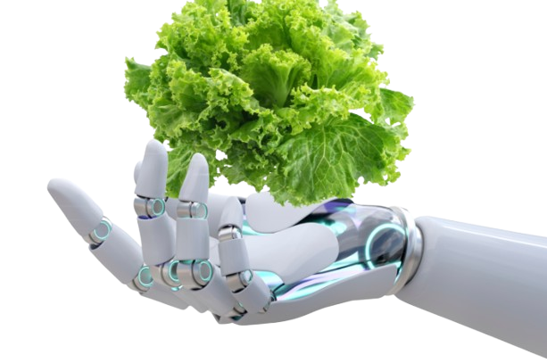 Zirat's sustainable vertical farm in Morocco.