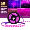 5M LED Grow Light Strip Full-Spectrum 5V LED Phyto Lamps