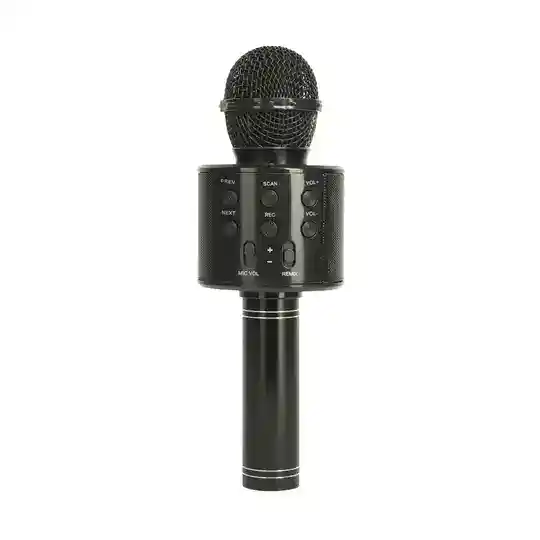 Karaoke microfoon