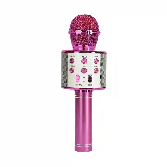 Karaoke microfoon