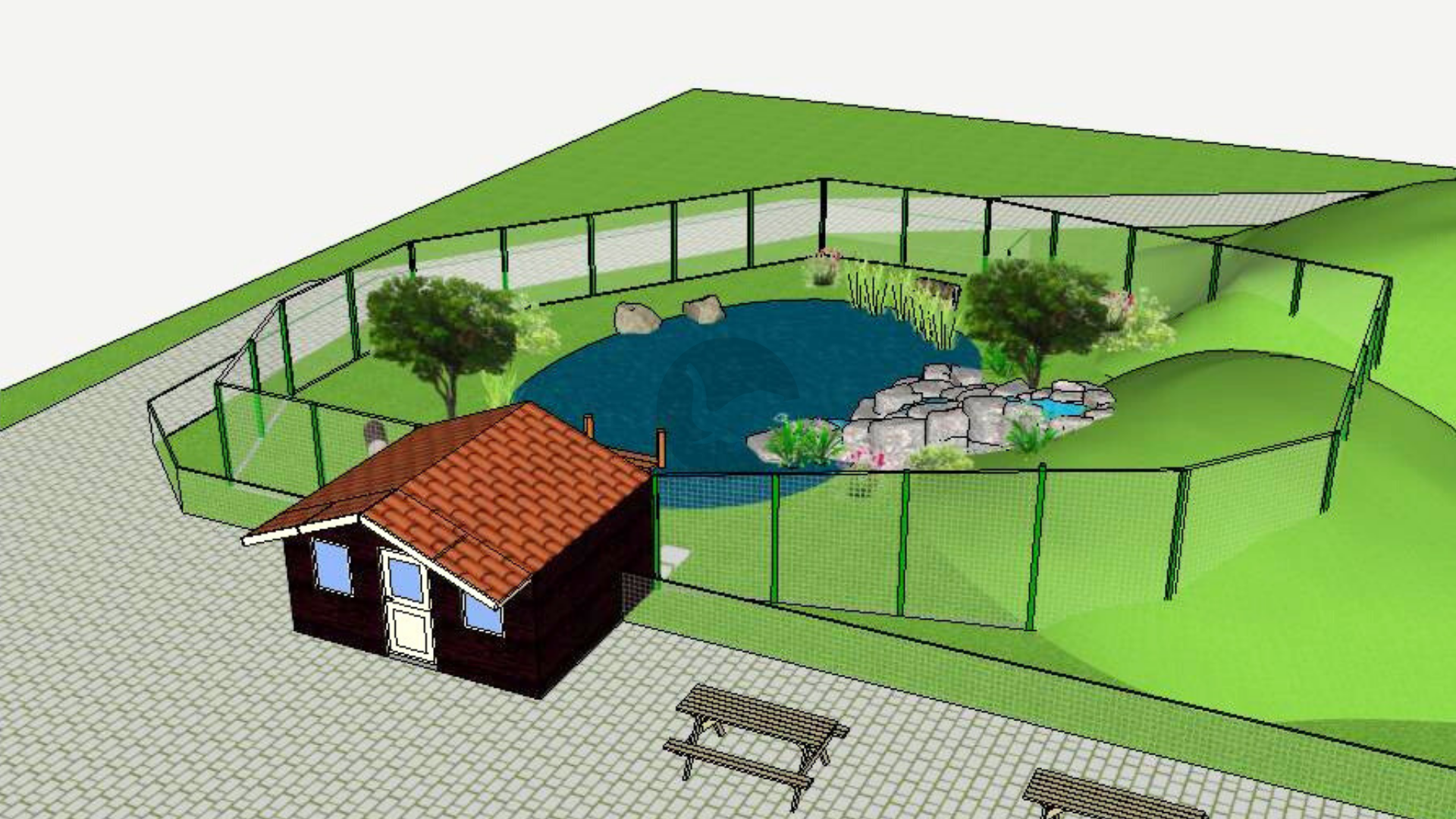 Noord-Hollands dierenpark verwelkomt Afrikaanse katachtige: nieuw verblijf in aanbouw