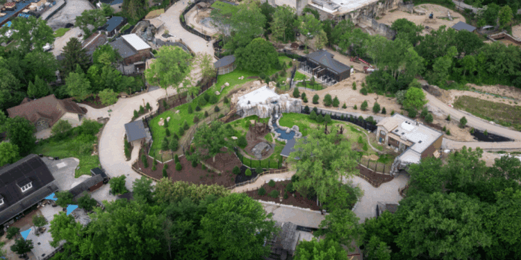 Beeld: Columbus Zoo
