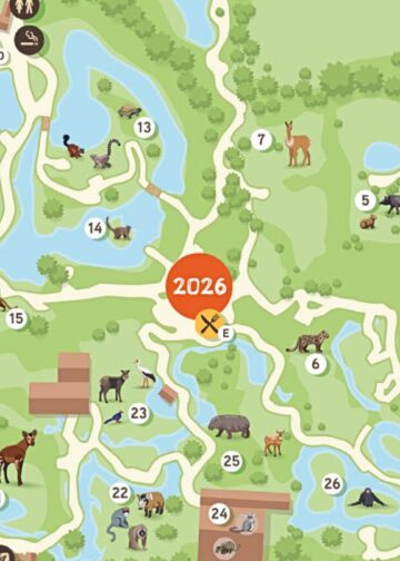 ZooParc Overloon presenteert volledig nieuwe plattegrond, mét bouwproject