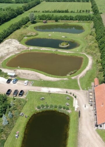 Nederland krijgt gigantisch schildpaddenreservaat: plek voor 20.000 dieren