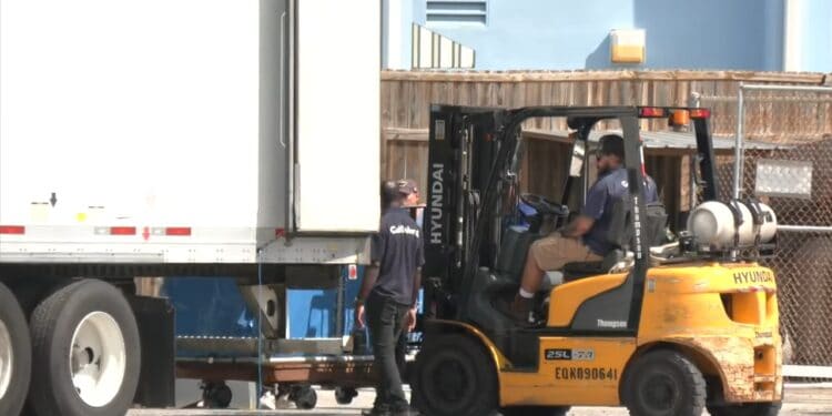 Beeld: WMBB News 13