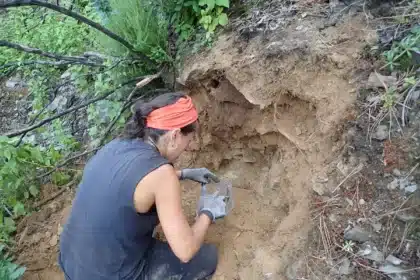 arqueologia vides a pobra do brollon