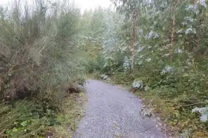 pol san estevo lugo pista