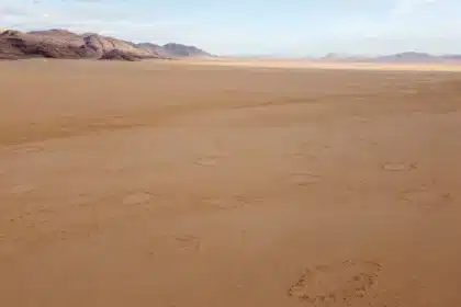 circulos de hadas desierto