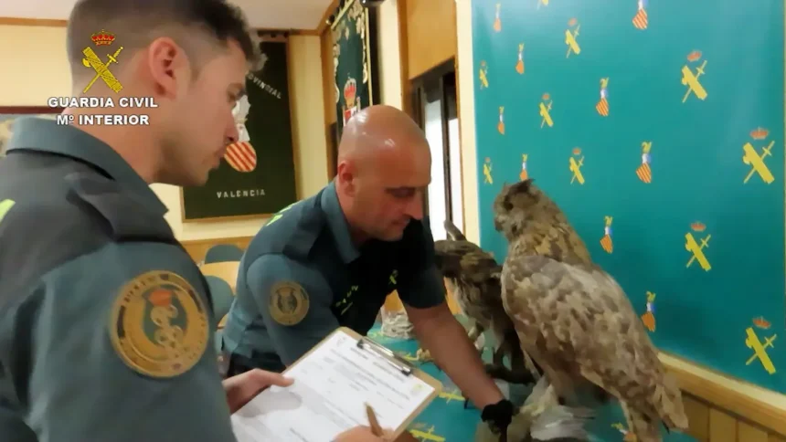 guardia civil aguila
