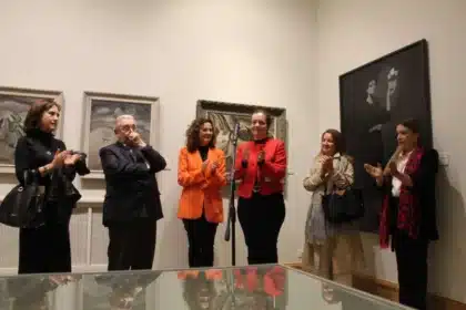 Museo Provincial Lugo Vicepresidencia Deputacion Lugo