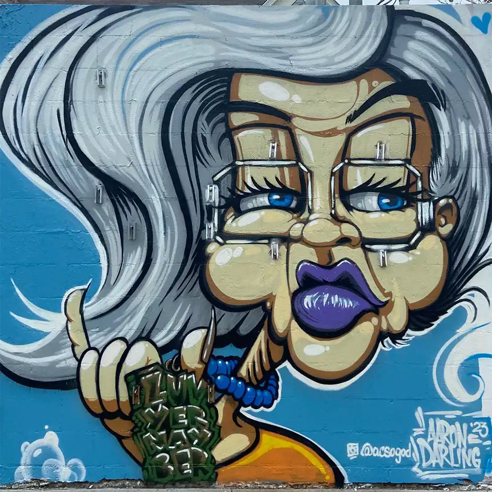mural by aaron darling | aaron darling mural artist | lago vista tx