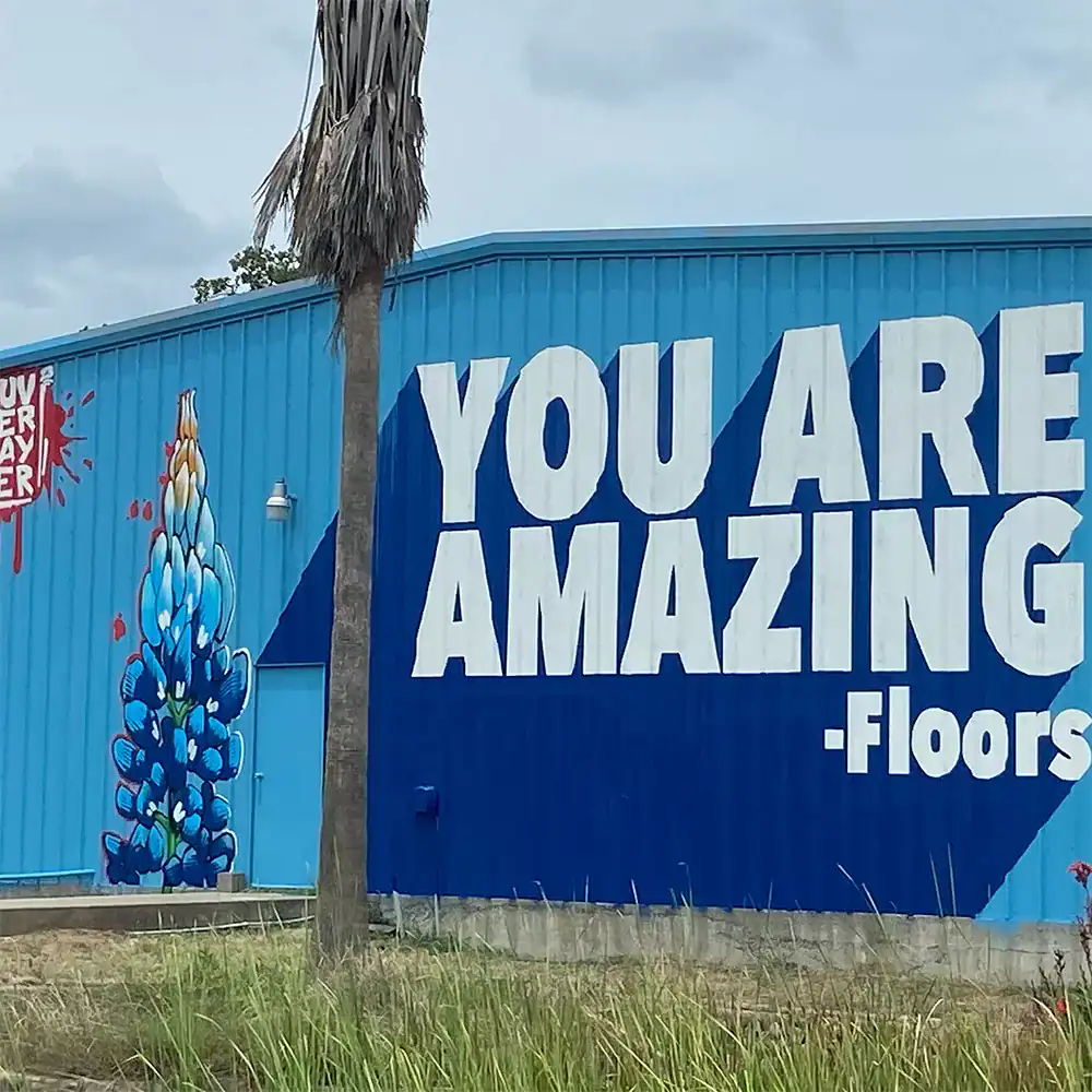 mural by aaron darling | aaron darling mural artist | lago vista tx