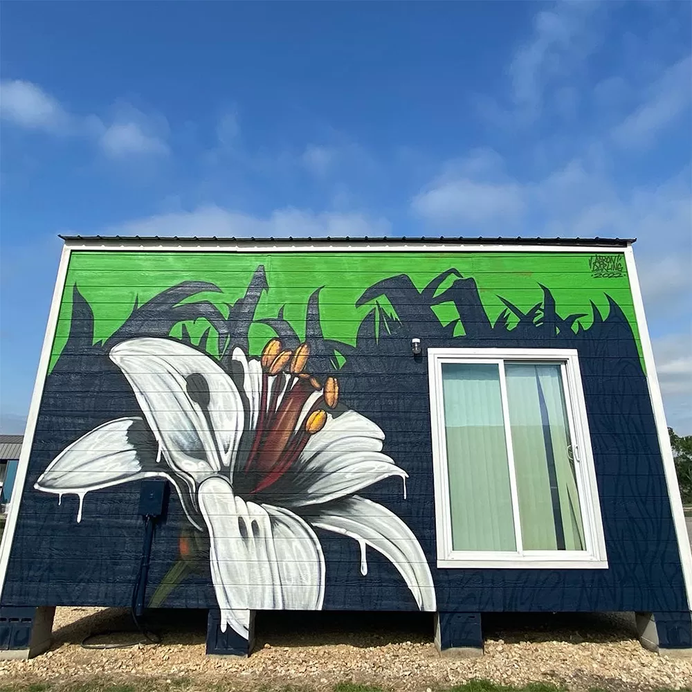 mural by aaron darling | aaron darling mural artist | lago vista tx