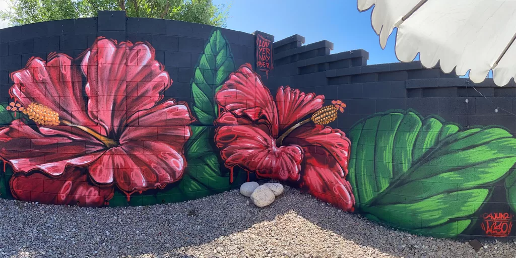 mural by aaron darling | aaron darling mural artist | lago vista tx | mural artist austin tx