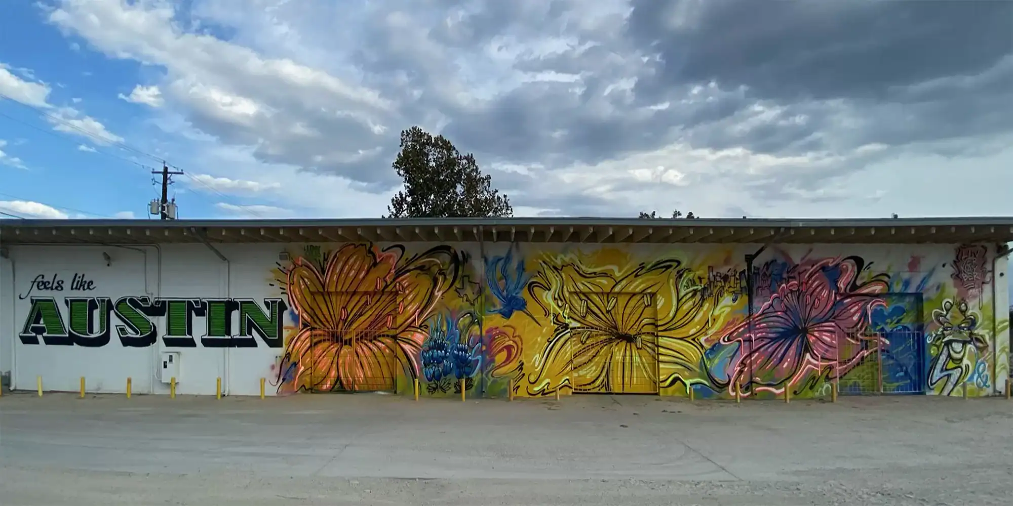 mural by aaron darling | aaron darling mural artist | lago vista tx