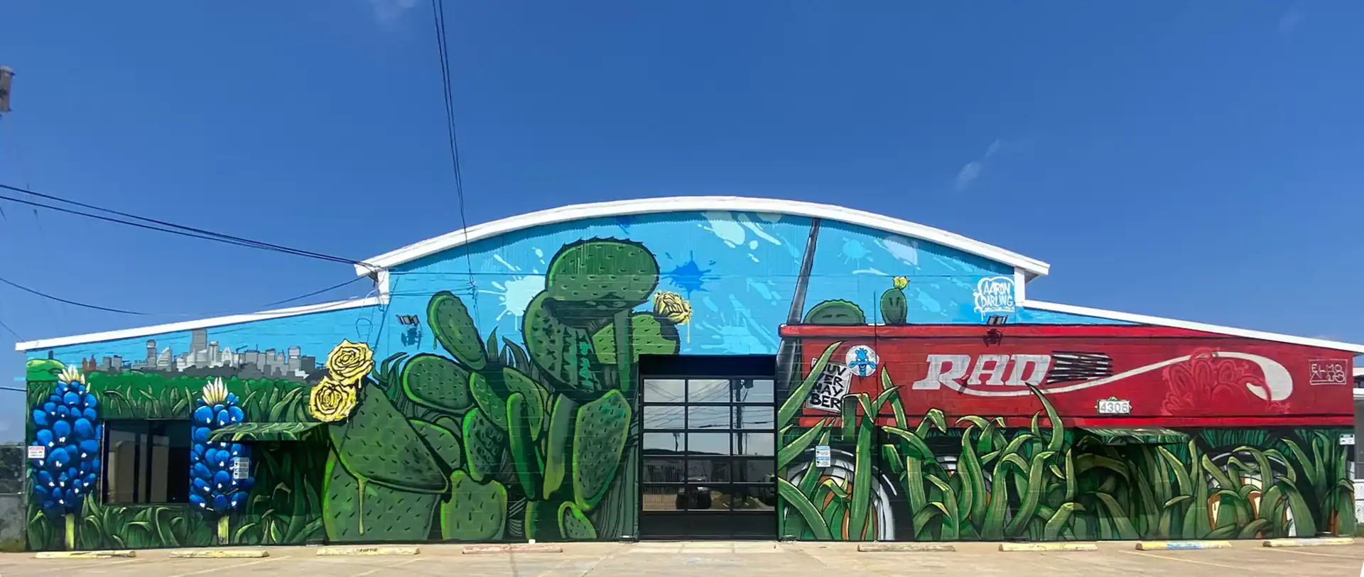 mural by aaron darling | aaron darling mural artist | lago vista tx