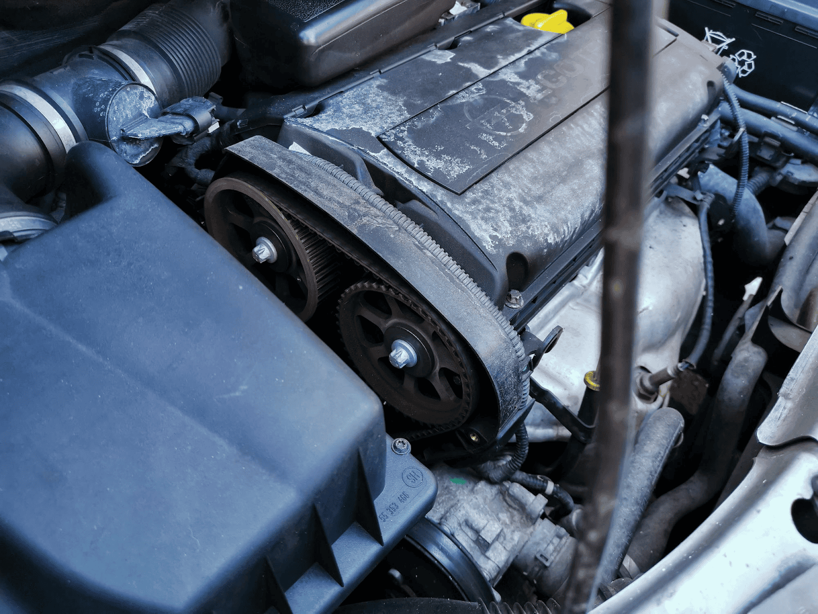 5 Signs Your Timing Belt Needs Replacement Soon
