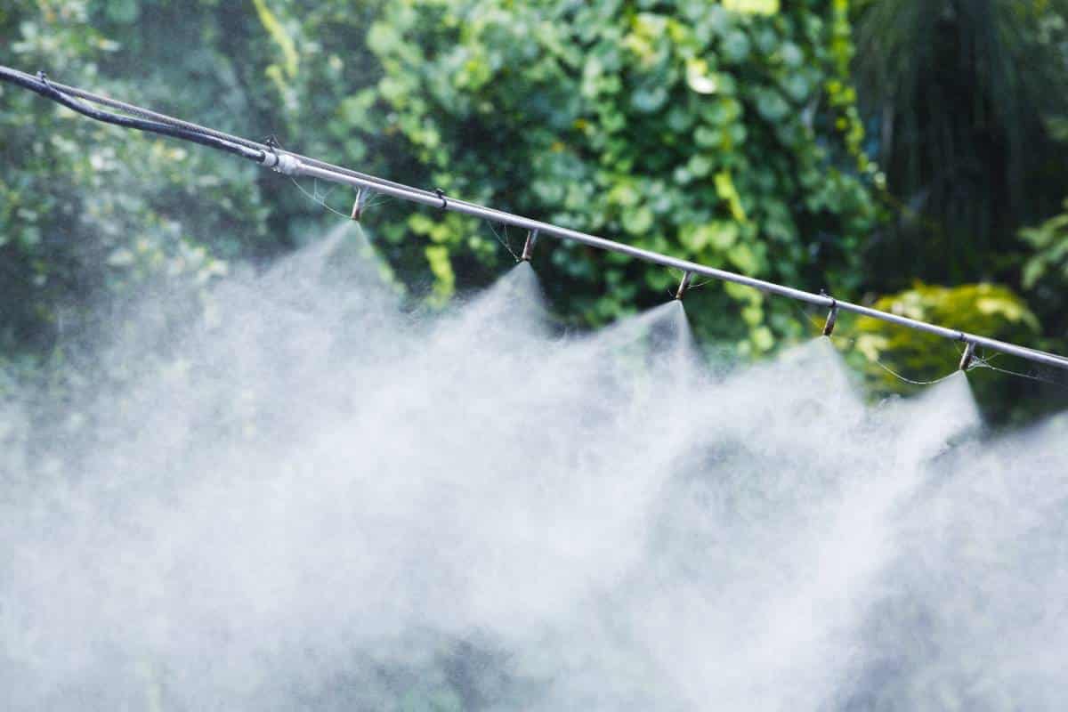 spraying