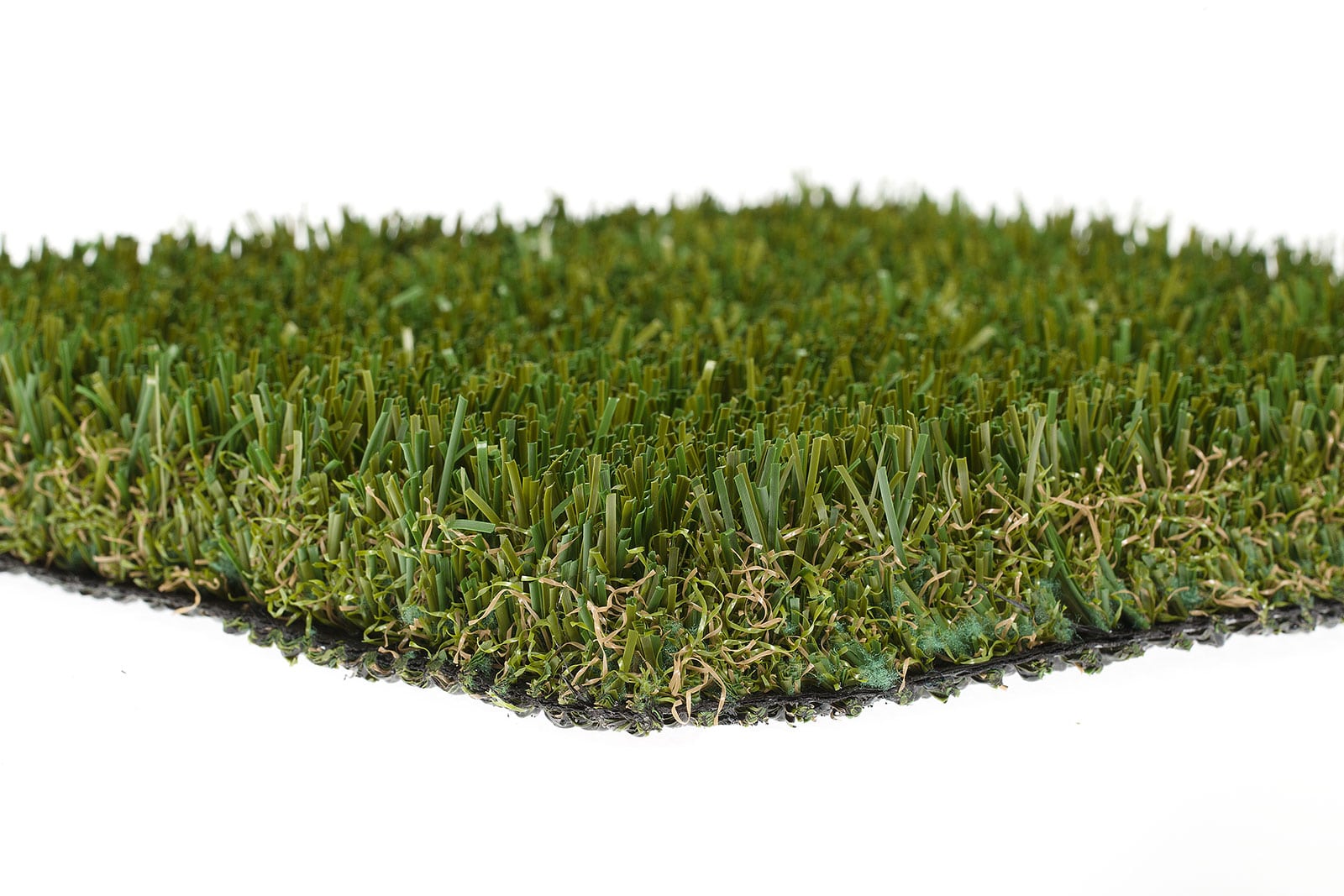 Nutmeg Lush Turf Sample