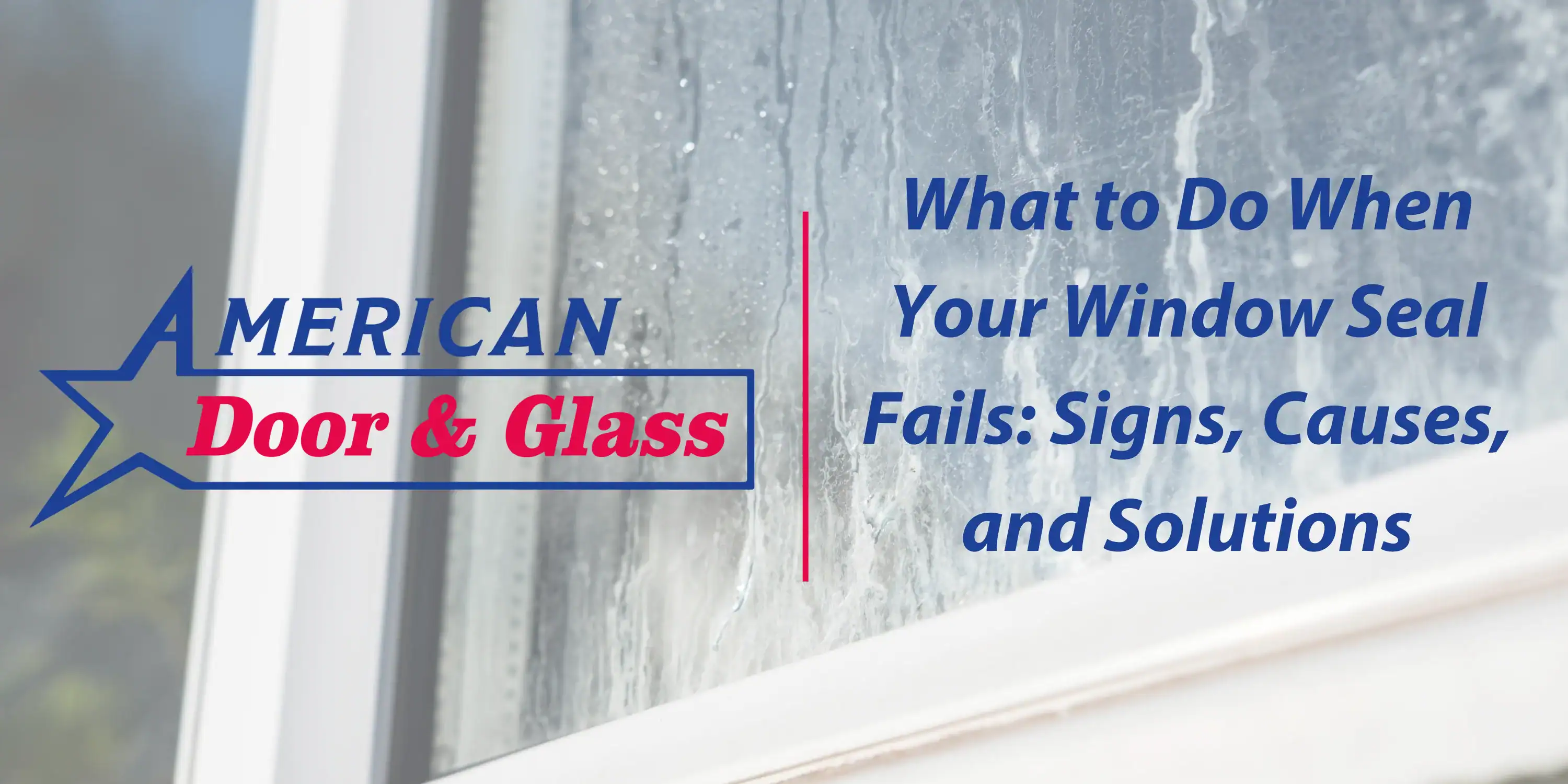 American door & glass featured image