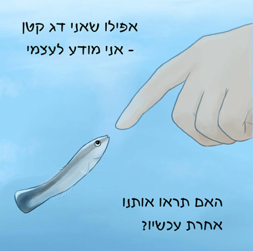 2מתורגם 550