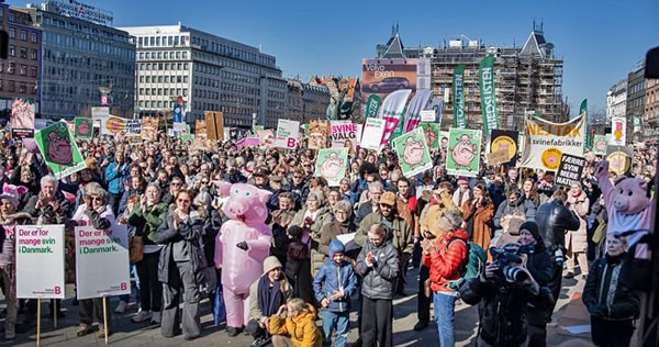 Demo-starting-outside-the-city-council-of-Copenhagen
