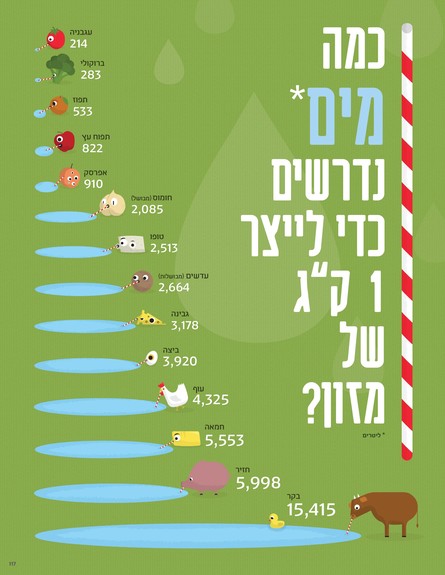 אינפוגרפיקה: כמויות המים הדרושות לייצור מזונות שונים