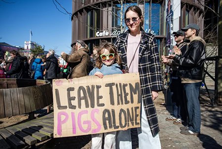 Leave-them-pigs-alone-450