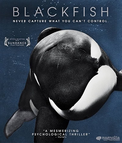 blackfish