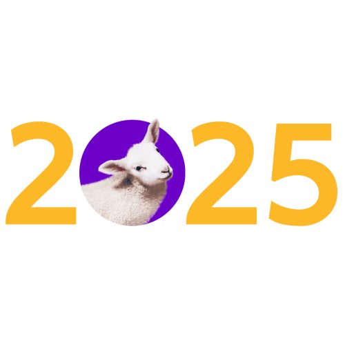 2025