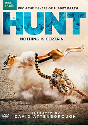hunt