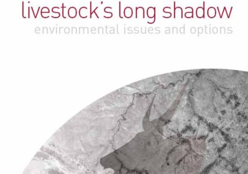 livestocks long shadow שער דוח האו"ם צלו הארוך של משקי החי