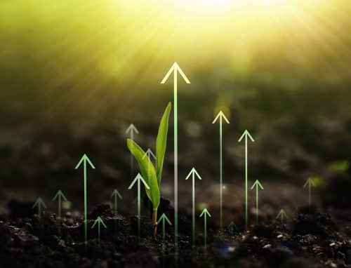 צמח צומח מתוך האדמה וחצים ירוקים מצביעים למעלה