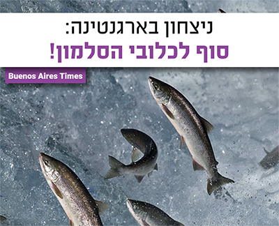 salmon סלמון ארגנטינה