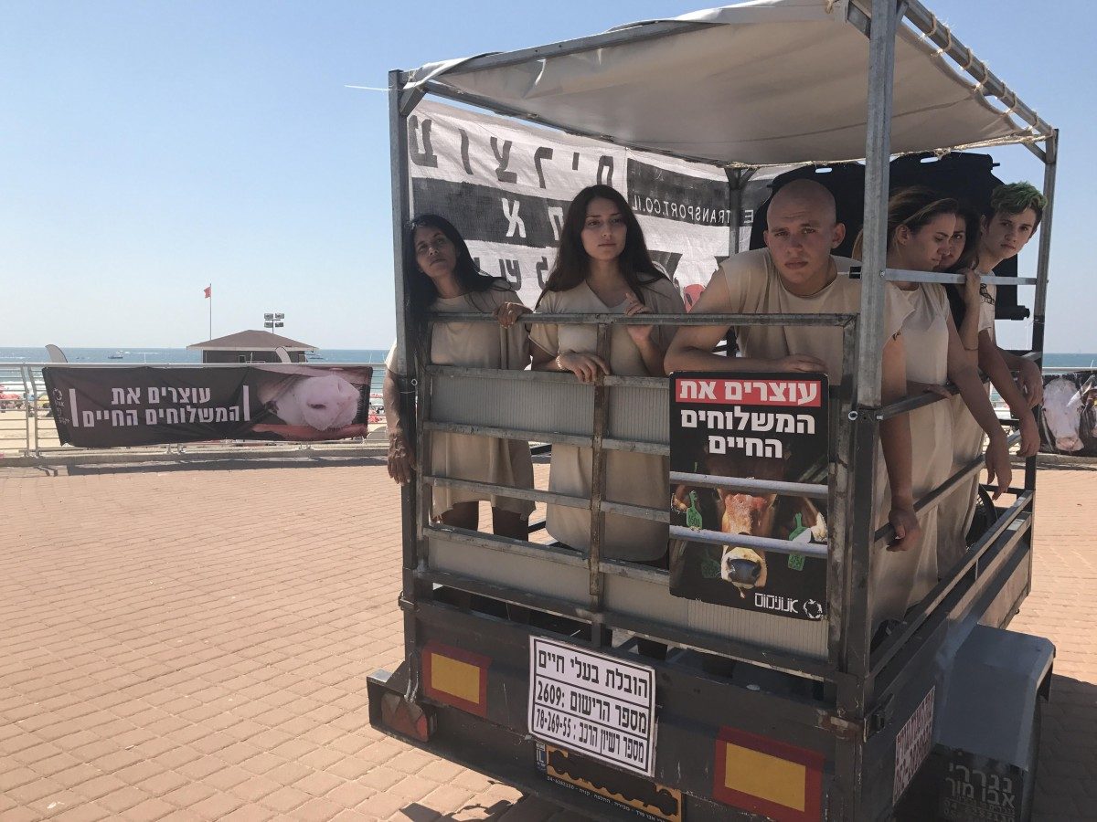 stop-live-transports-ashdod