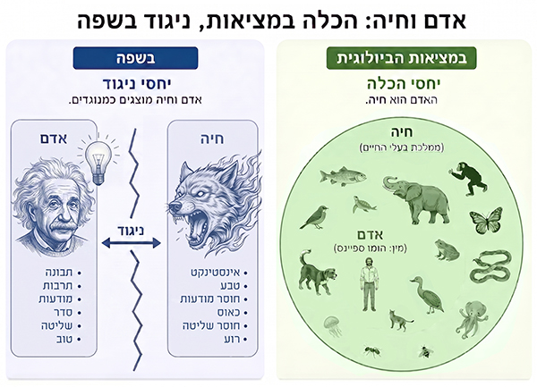 אדם וחיה יחסי הכלה במציאות מול יחסי ניגוד בשפה