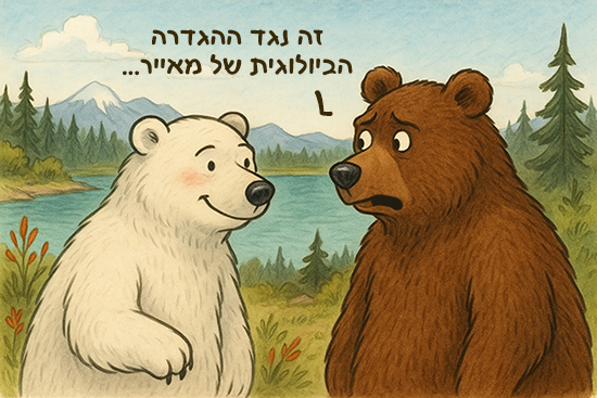 איור של דב קוטב ודב חום נפגשים במקרה ומהססים