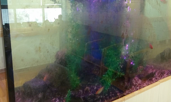 איכילוב סוראסקי המטואונקולוגית600