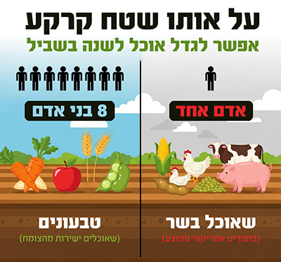 אינפוגרפיקה בזבוז קרקע בחקלאות חי