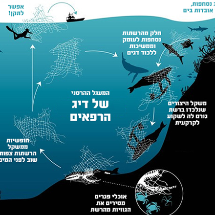 אינפוגרפיקה: המעגל ההרסני של רשתות הרפאים בים