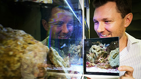 אלכס ג'ורדן