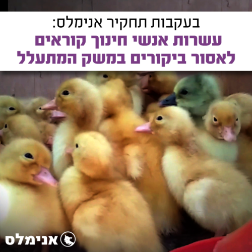 אנשי חינוך קוראים לאסור ביקורים במשק המתעלל