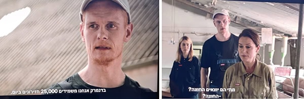 בורגן יוצאים החוצה וגורים מושמדים