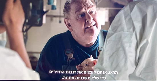 בורגן קוצצים כדי שלא ינשכו