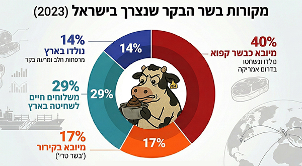 גרף עוגה מקורות בשר בקר בישראל 2023